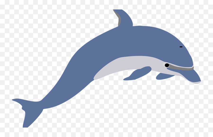 Free Dolphin Mammal Vectors - Dolphin Clipart Transparent Background Emoji,Dolphin Emoji