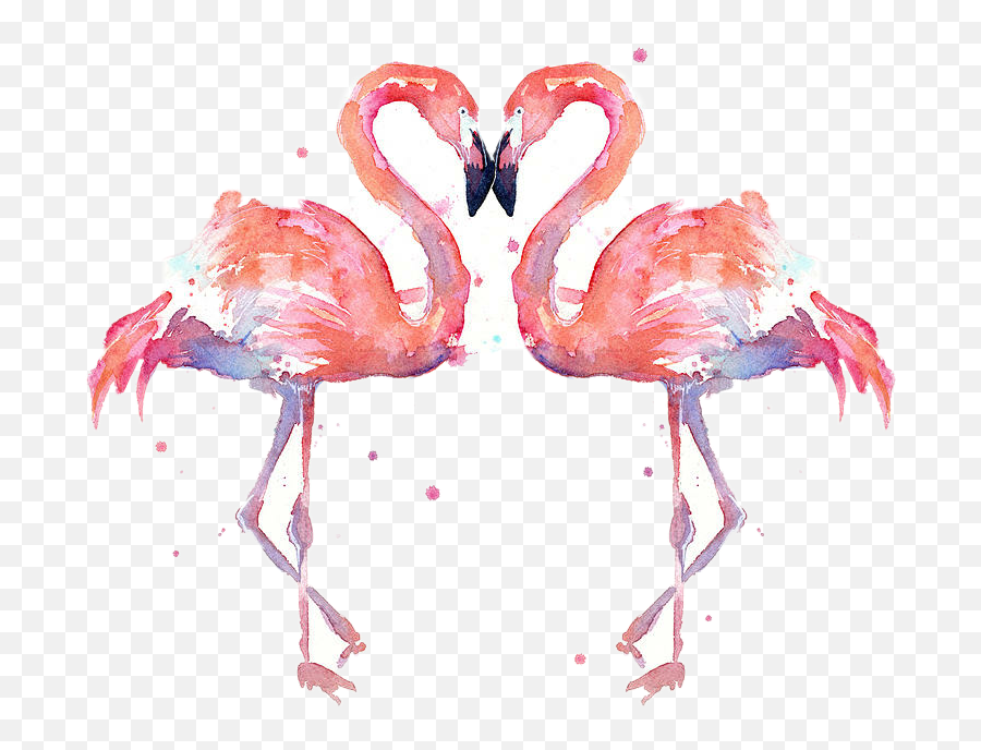 The Coolest Flamingo Animals U0026 Pets Images And Photos On - Flamingo Art Emoji,Flamingo Emoji