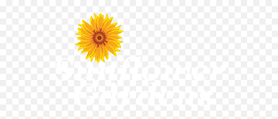 Sunflower Gardens An Alzheimers - Language Emoji,Facebook Sunflower Emoticons
