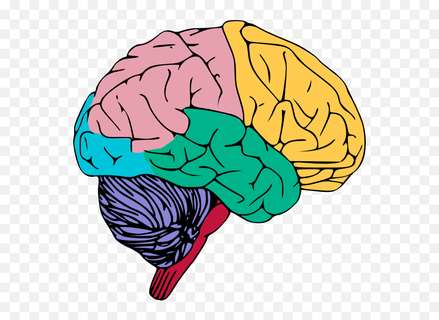 Brain Free To Use Clip Art - Clipartix Brain Clipart Png Emoji,Brain Emoji