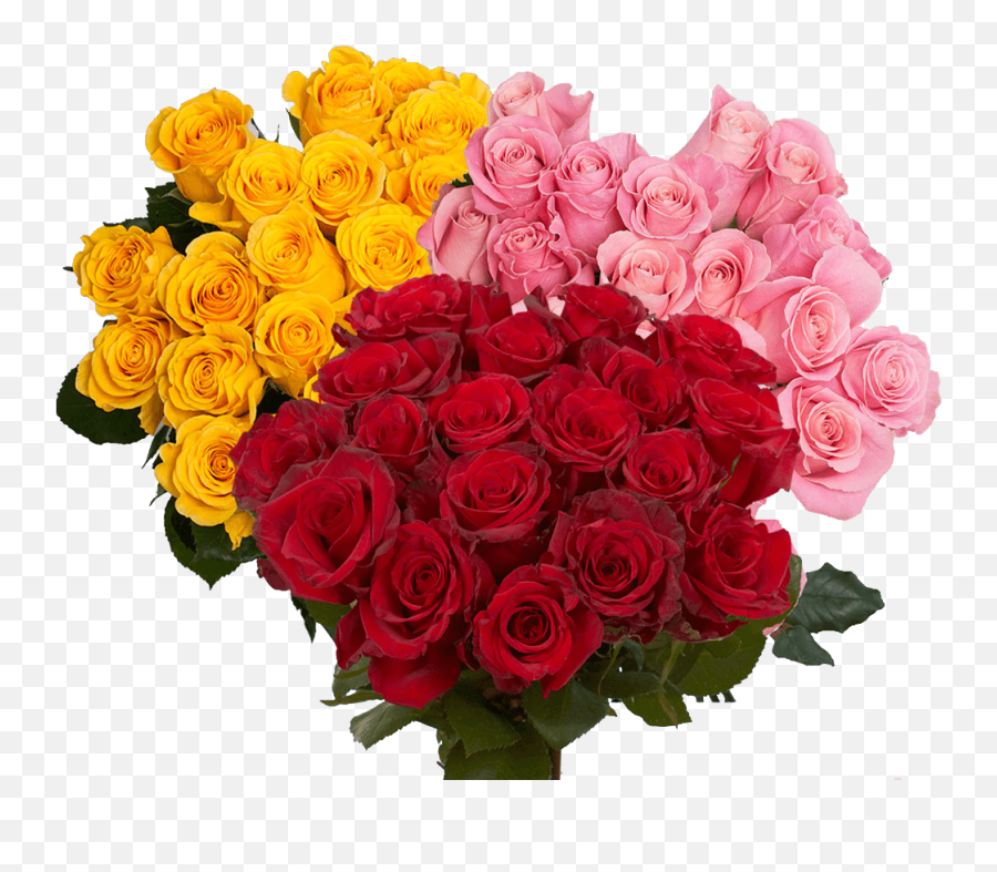 Beautiful Red And Color Roses - Lovely Emoji,Ron Burgundy Mixed Class Of Emotion