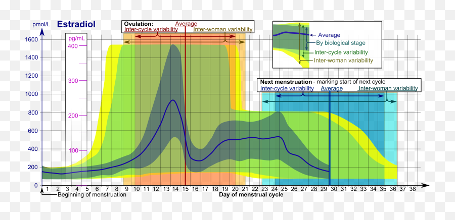 Menstrual Cycle - Menstrual Cycle Emoji,Emotions During Menstrual Cycle