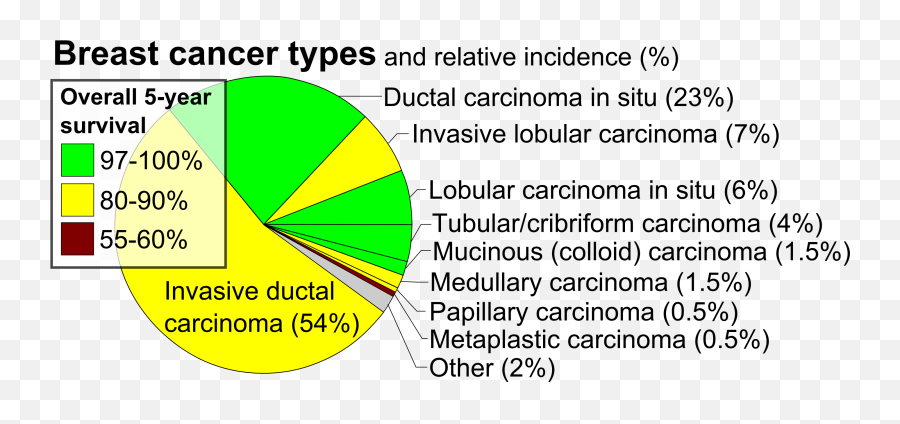 Pie Chart Of Incidence And Prognosis Of Histopathologic Emoji,Piechart Emoji Pie Chart Of Incidence And Prognosis Of Histopathologic Emoji,Piechart Emoji