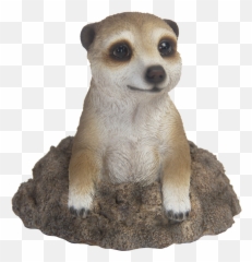 Meerkat In Hole - Esschert Design Emoji,Emoji For Hole