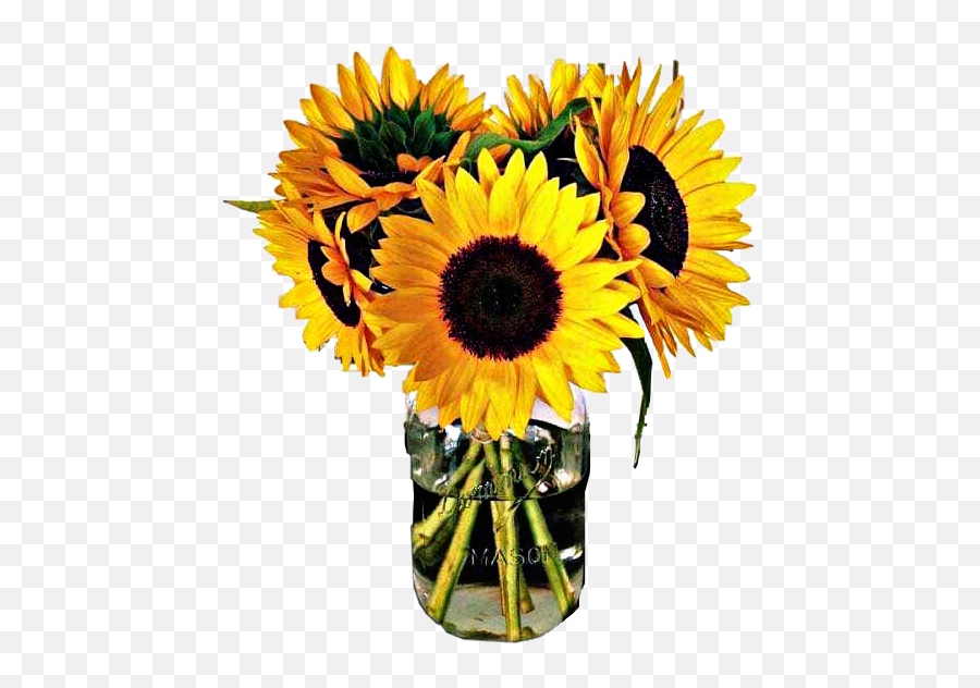 The Coolest Flowers Stickers - Sunflower Vase Emoji,Flower Emoji Symbol