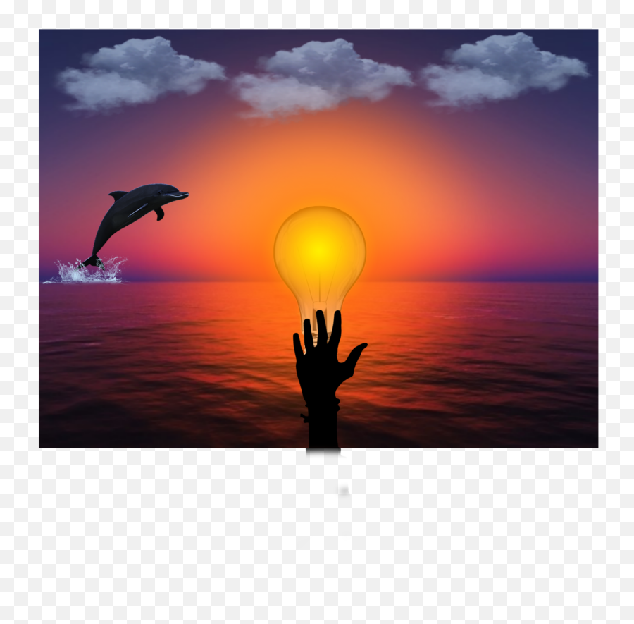 Cloudnaturewaterseasunset Sunrise - Common Bottlenose Dolphin Emoji,Sunrise Emoji