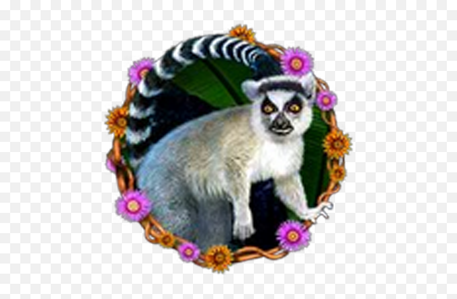 Happy Jungle Slot U2013 Google Play Ilovalari - Lemur Emoji,Scatter Slots Adult Emotions