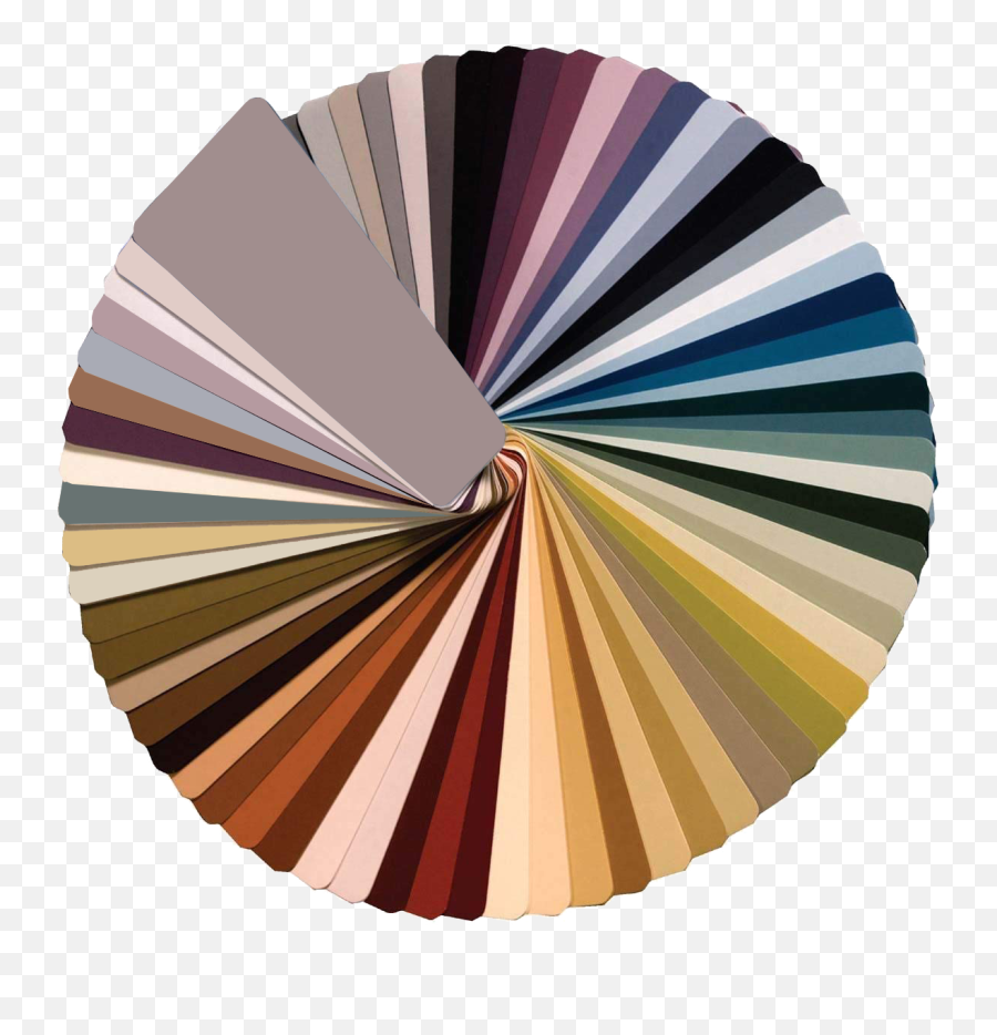 Color Strategist Certification Color - Benjamin Moore Off White Paint Fan Deck Emoji,Design Shack Science Between Color And Emotion