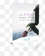 Animal Energy Certification Training Emoji,Emotions Animals Communicate