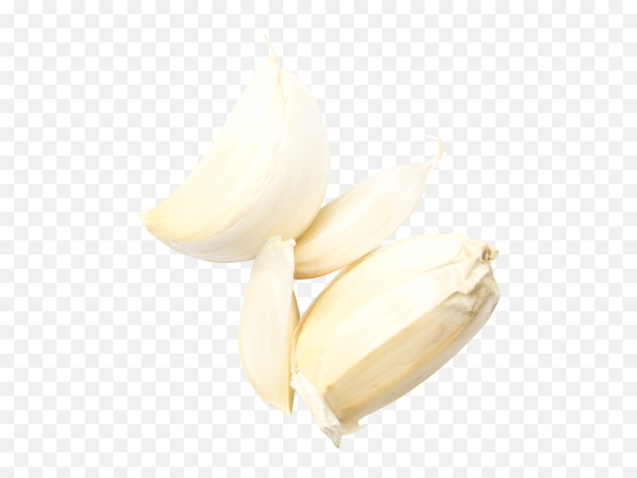 Garlic Transparent Png Image - Fresh Emoji,Garlic Emoji