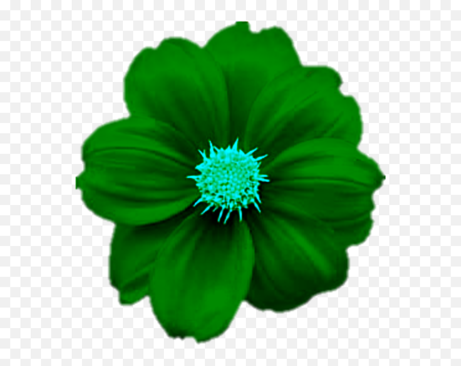 Single Flower Png Image Colourful Design Green - Green Flower Png Emoji,Names Of All The Flower Emojis