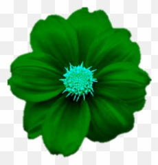 Single Flower Png Image Colourful Design Green - Green Flower Png Emoji,Names Of All The Flower Emojis