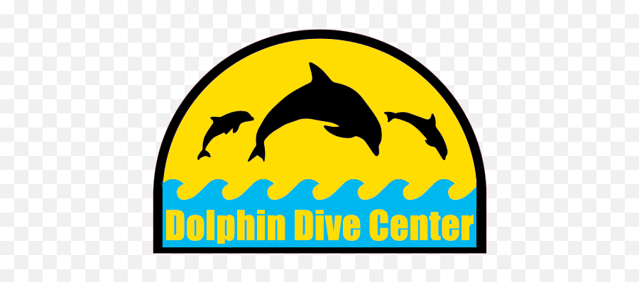 Dolphin Dive Center Articles Features - Common Bottlenose Dolphin Emoji,Dolphin Emotions