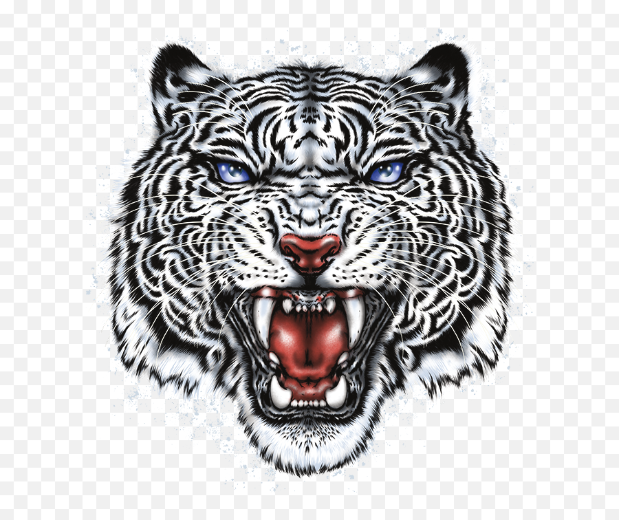 Download Hd White Tiger Head Stock Transfer - White Tiger Emoji,Toger Emoji
