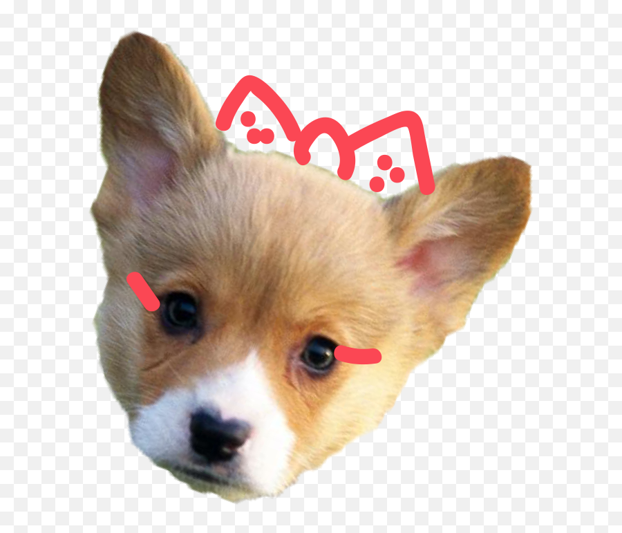 Japan Pets Emoji,Japanese Christmas Emojis