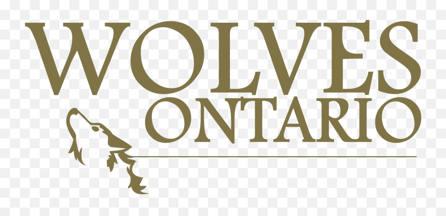 Wolves In Ontario Wolves Ontario - Tarion Emoji,Eastern Timberwolf Emotions