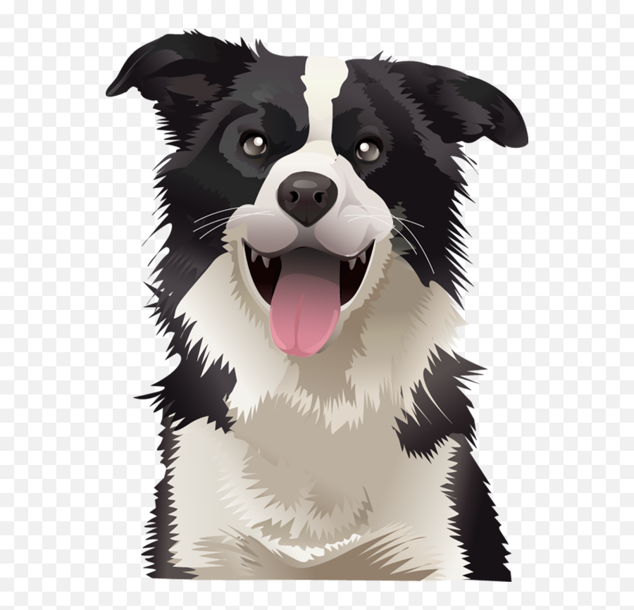 Dog Dog Border Collie Australian Collie - Head Border Collie Clipart Emoji,Husky/border Collie Emoji