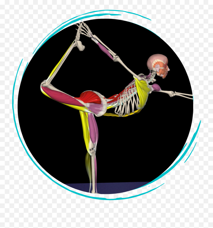 Get An Inside View Of The Anatomy U0026 Biomechanics Of Movement - Circus Emoji,Emoticon Sexy Buenos Dias