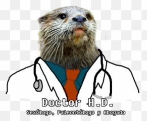 Abogados On Tumblr - Dia Del Nutriologo Nutria Emoji,Emoticon Del Nacimiento De Jesus