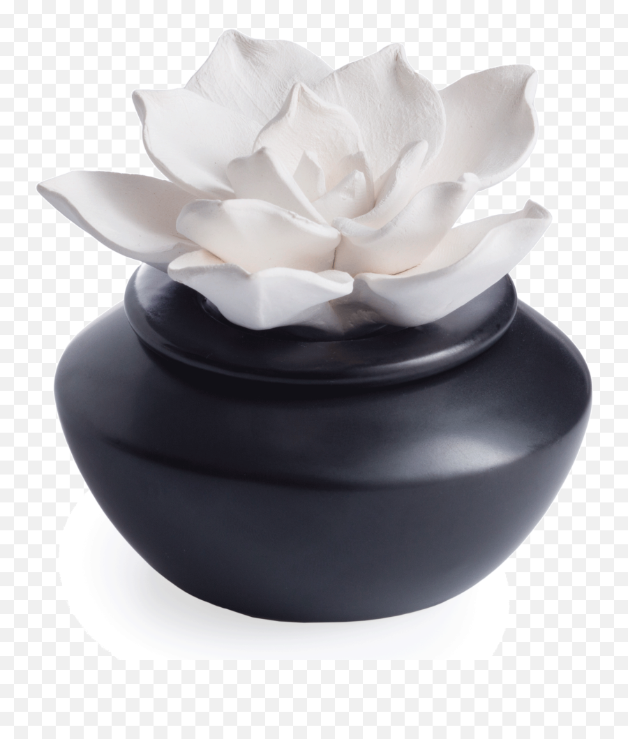 Airome Porcelain Passive Diffuser Gardenia Black And White Emoji,Idea Star Singer Yesudas Emotion