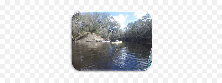 Withlachoochee River North From Ray City Ga To Emoji,Emotion Stealth 11 Kayak