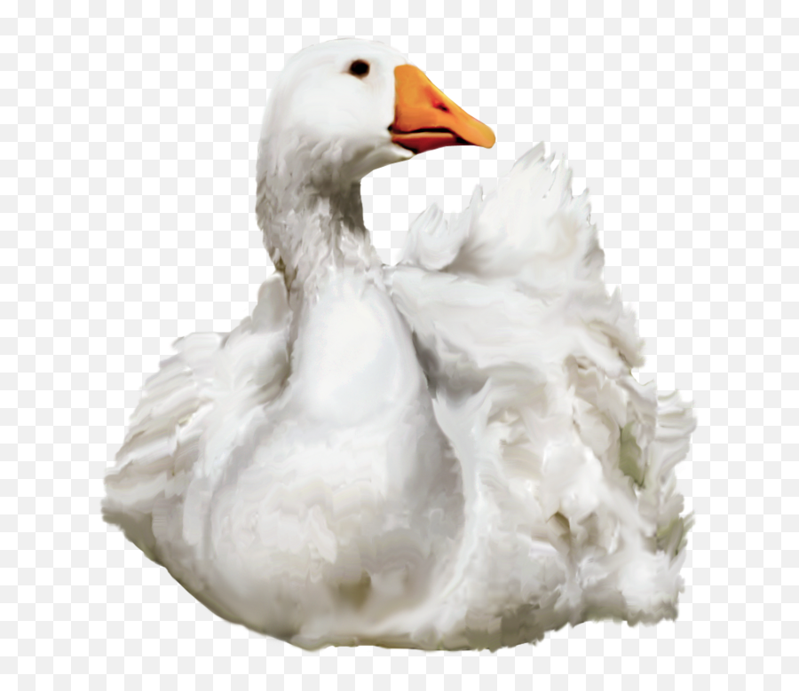 Duck Png Transparent Images Png All Emoji,Transparent Background Duck Emoji