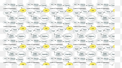 Tissue And Other Levels Of Organization - Vertical Emoji,Tissue Emoticon