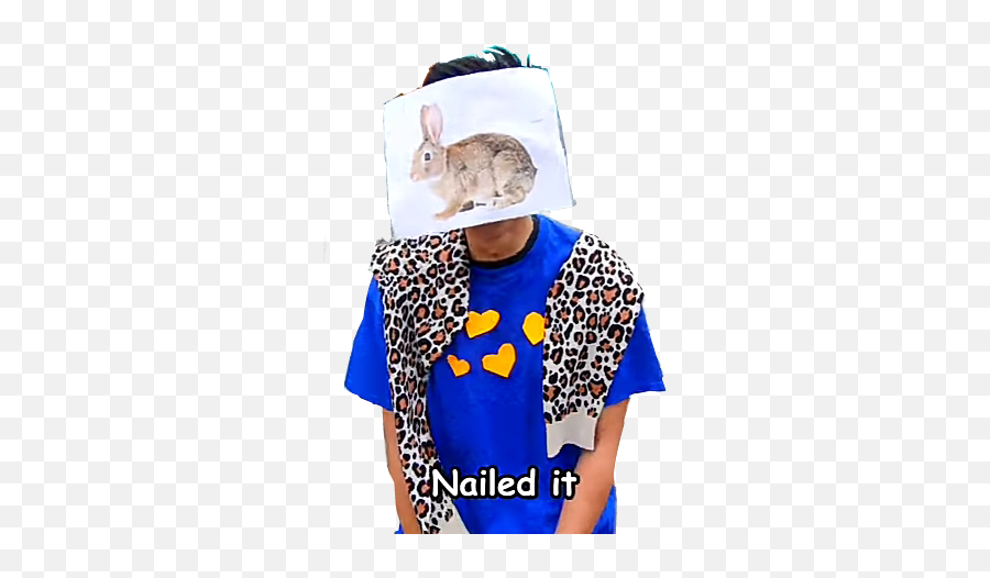Popular And Trending Nailedit Stickers On Picsart - Mountain Cottontail Emoji,Nailed It Emoji