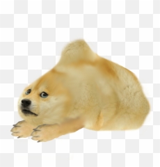 Helpful Templatescharacter Sheets Dogelore - Dogelore Cromch Emoji,Poptart Emoji Copy And Paste