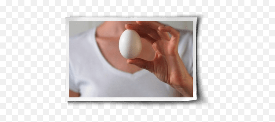 Do Chickens Mourn The Loss Of Their Eggs - Wellness Emoji,Egg Emotions