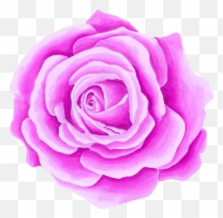 The Most Edited Red - Rose Picsart Girly Emoji,Amber Rose's Emojis
