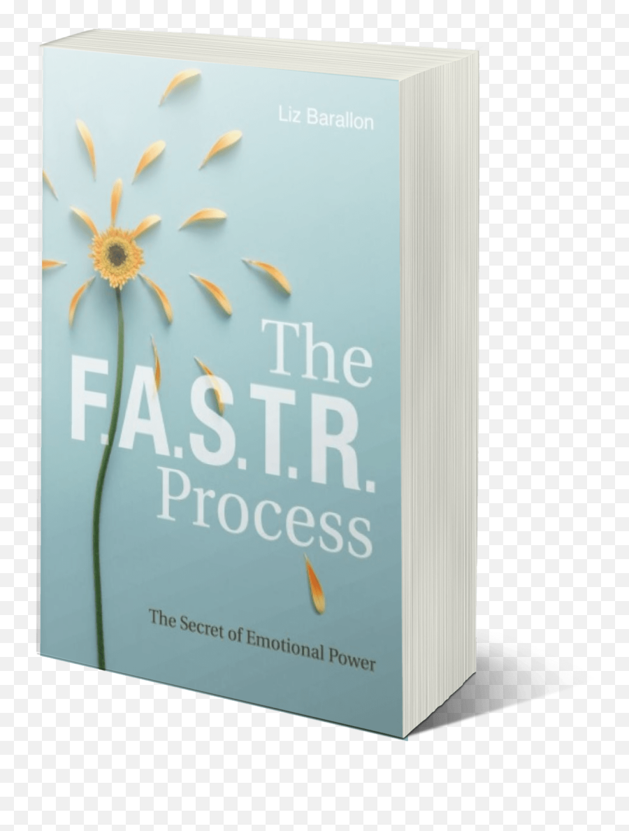 The Fastr Process - Inspire You Horizontal Emoji,Negative Emotion Scale