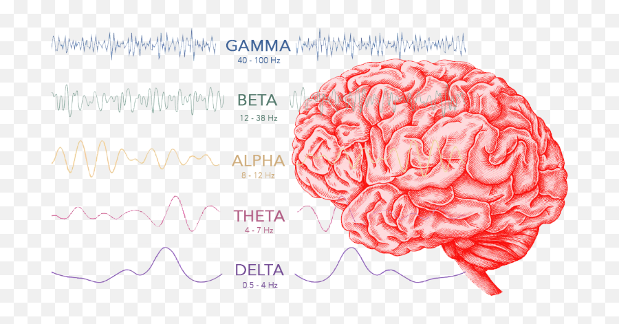 Brain Waves Meditation - Brain Illustration Emoji,Brain Waves Emotions