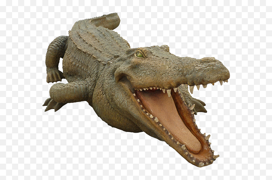 Free Transparent Crocodile Png Download - Crocodile Gif Transparent Background Emoji,Alligator Emoji