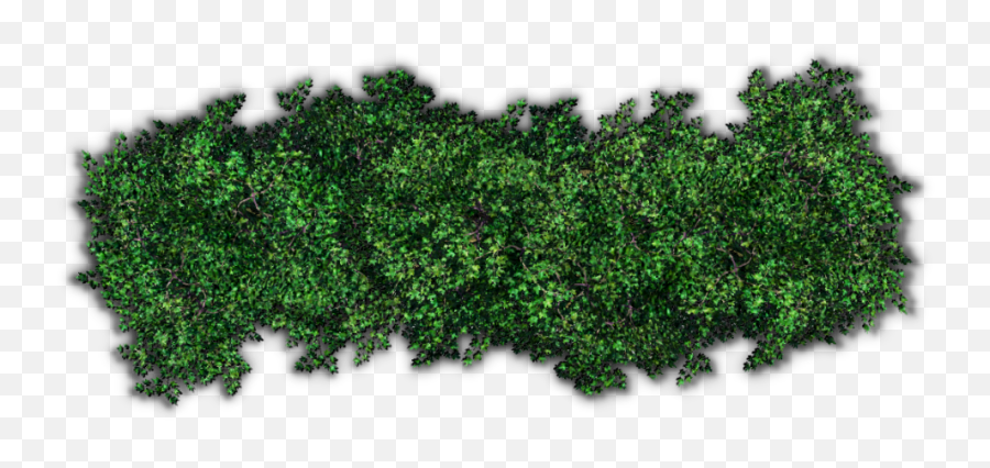 Small Bush Transparent Background Png Png Arts Emoji,Bush Emoticon Saying Do It In Fortnite