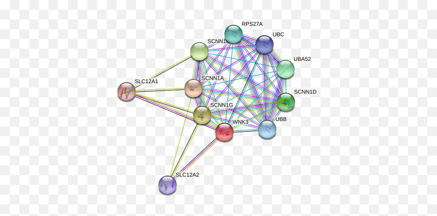 Wnk3 Protein Human - String Interaction Network Emoji,Chinese Emotion Ovaries