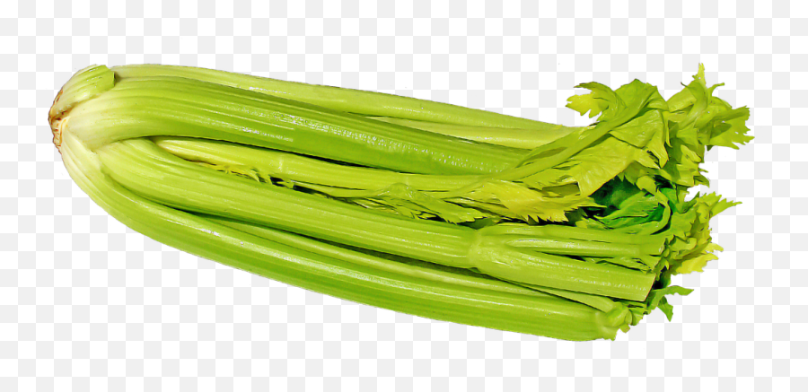 Celery Vegetables Vegetable Png Picpng - Celery Emoji,Emoji Vegetables