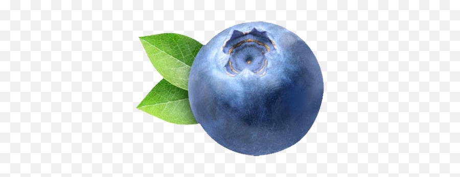Blueberry Png High - Quality Image Png Arts Emoji,Blue Berry Emoji
