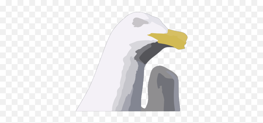 Seagulllg Png Svg Clip Art For Web - Download Clip Art Png Emoji,Eagles Emoji