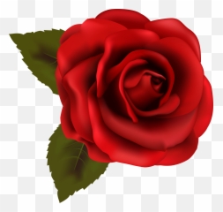 Beautiful Red Rose Transparent Png Clip - Rose Clip Art Transparent Emoji,Yoworld Emoticon Codes