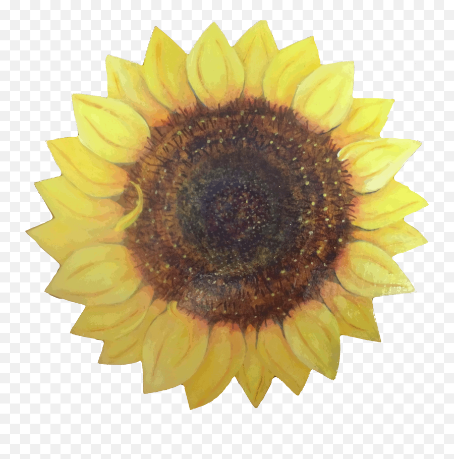 Ferns Floral Forests - Common Sunflower Emoji,Sunflowers Emotion
