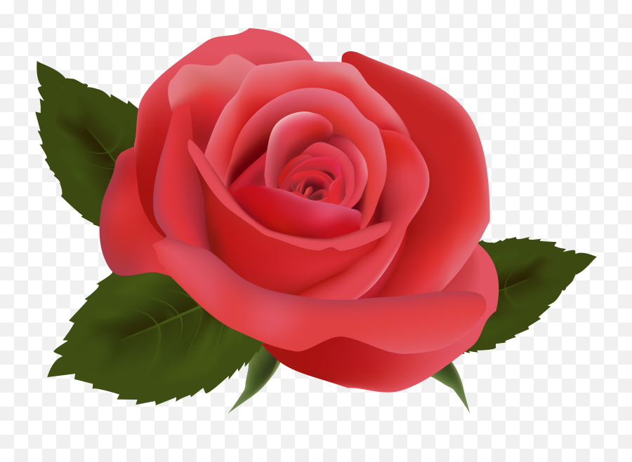 Aesthetic Rose Png Black And White - Largest Wallpaper Portal Red Pink Roses Png Emoji,Rose Emoticon Desktop Wallpaper