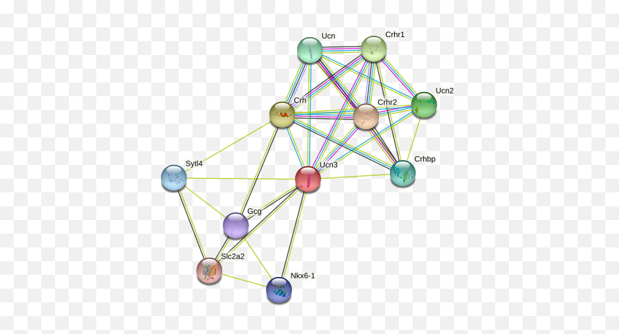 Ucn3 Protein Mouse - String Interaction Network Dot Emoji,The Acid Emotion Eating At The Spleen