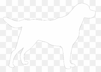 I Started Early Took My Dog Poem - Ancient Dog Breeds Emoji,Dogs Emotions