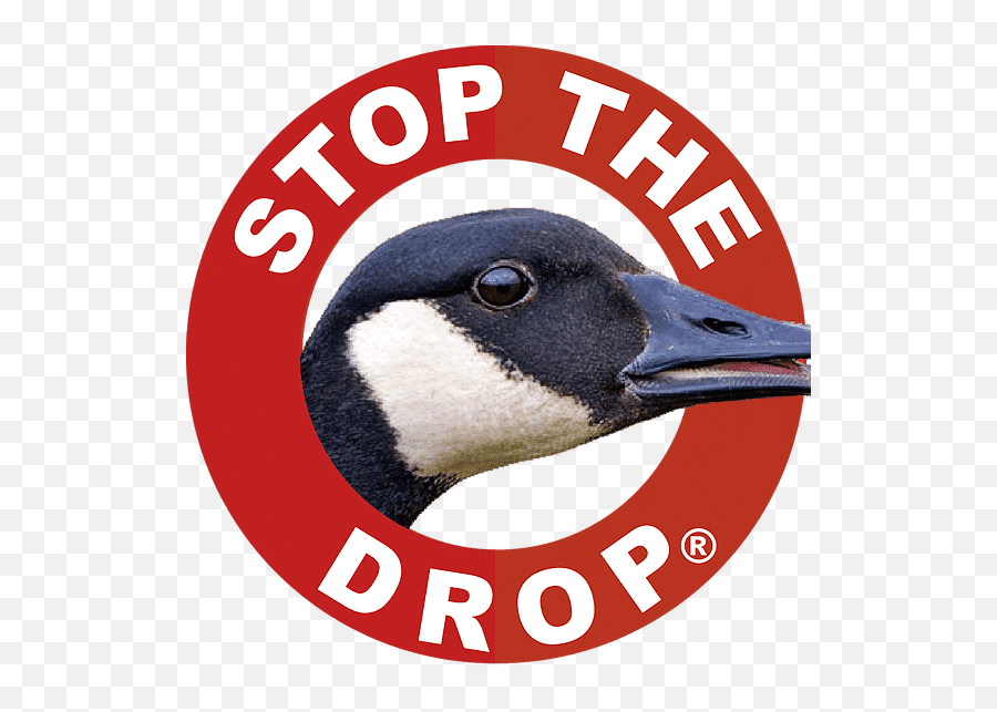 Geese Repellent Goose Deterrent How To Get Rid Of Geese - Stop The Drop Goose Emoji,Canadian Goose Emoticon