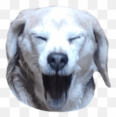 Socal Snowdown Bracket Settings Emoji,Poro Emojis For Discord