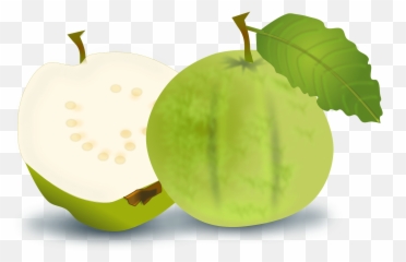 Guava Clipart - Guava Clipart Emoji,Guava Emoji
