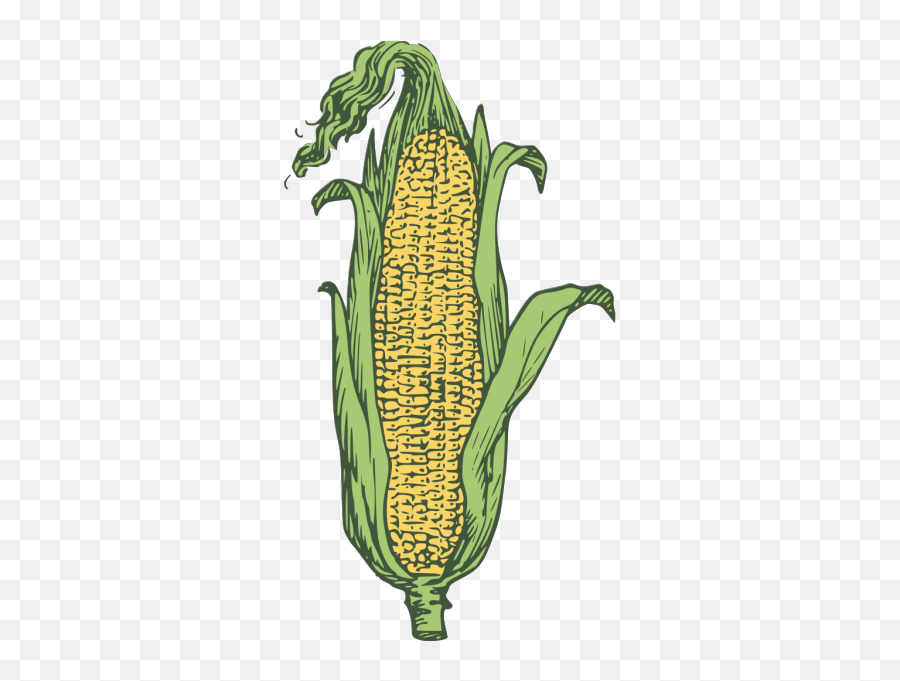 Corn - Corn Clip Art Emoji,Corn Cob Emoji