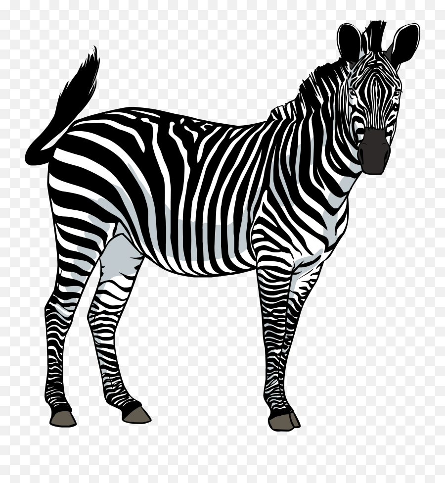 Families Clipart Zebra Families Zebra - Zebra Png Emoji,Zebra Emoji