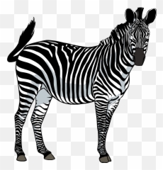 Families Clipart Zebra Families Zebra - Zebra Png Emoji,Zebra Emoji